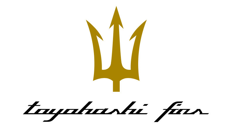 FINSバスケットボールクラブ